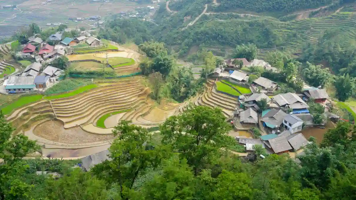 SapaTreks guide leading a small group along rice-terrace paths in Muong Hoa Valley, Lao Chai