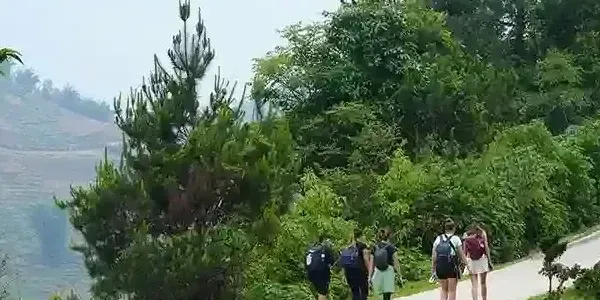 Small group of travelers walking along a quiet hillside path on a SapaTreks trek, with green Muong Hoa Valley terraces in the background