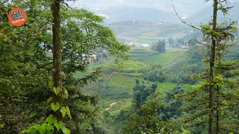 Layered green rice terraces descending into Muong Hoa Valley with a H'mong village below Sapa