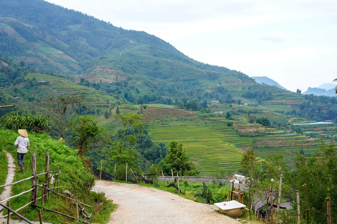 Travellers on the Sapa Countryside Walk overlooking rice terraces with a Black H'mong guide