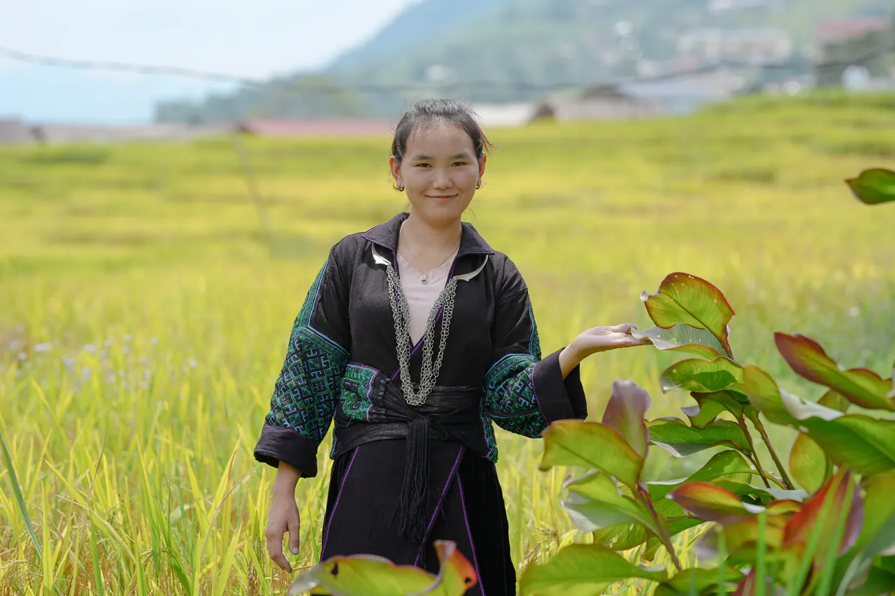Local guide in traditional dress among golden rice terraces in Sapa