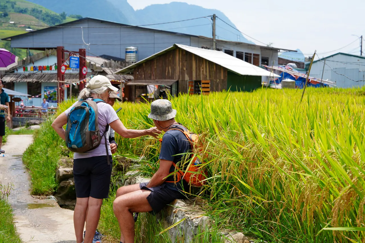 Guide with guests pausing on a terrace path during a Sapa trek