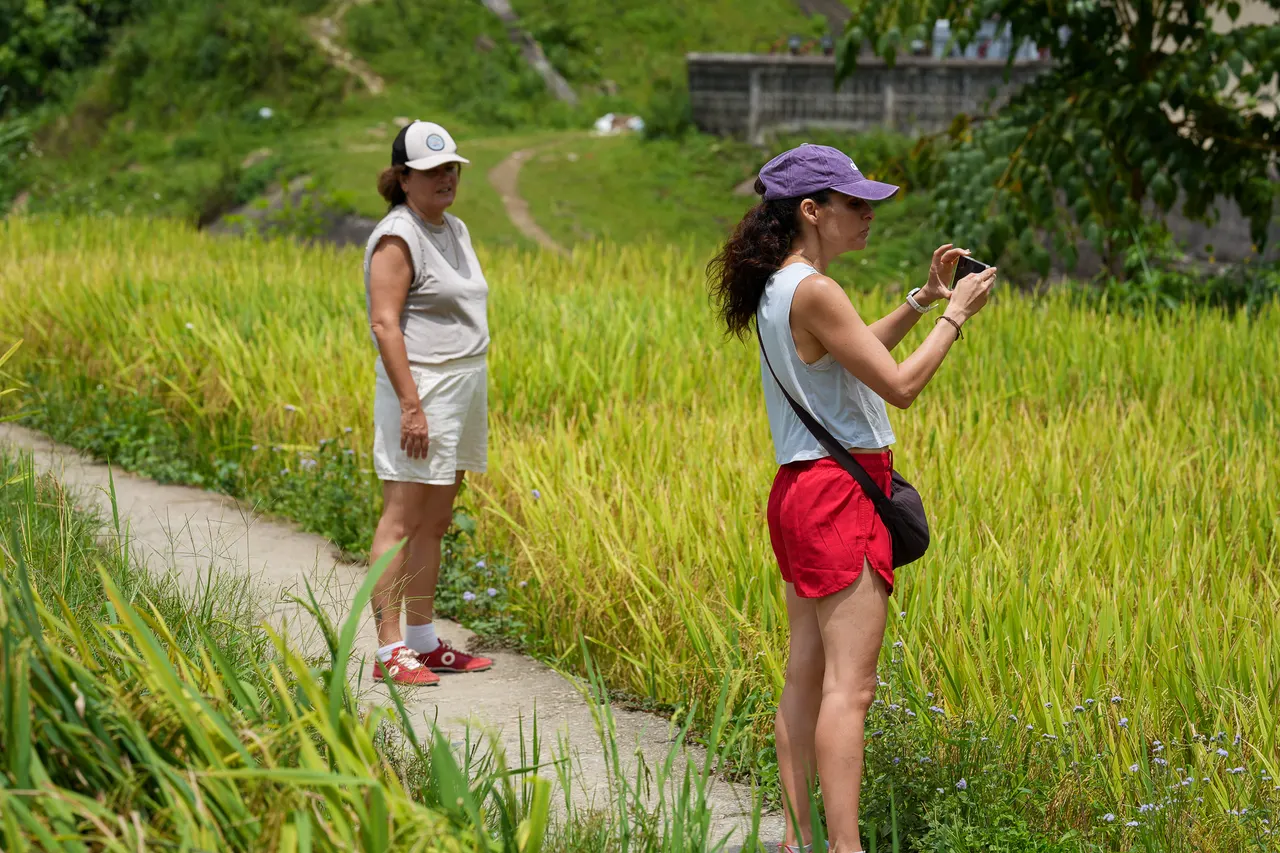 Guests walking a terrace trail during a half-day trek in Sapa