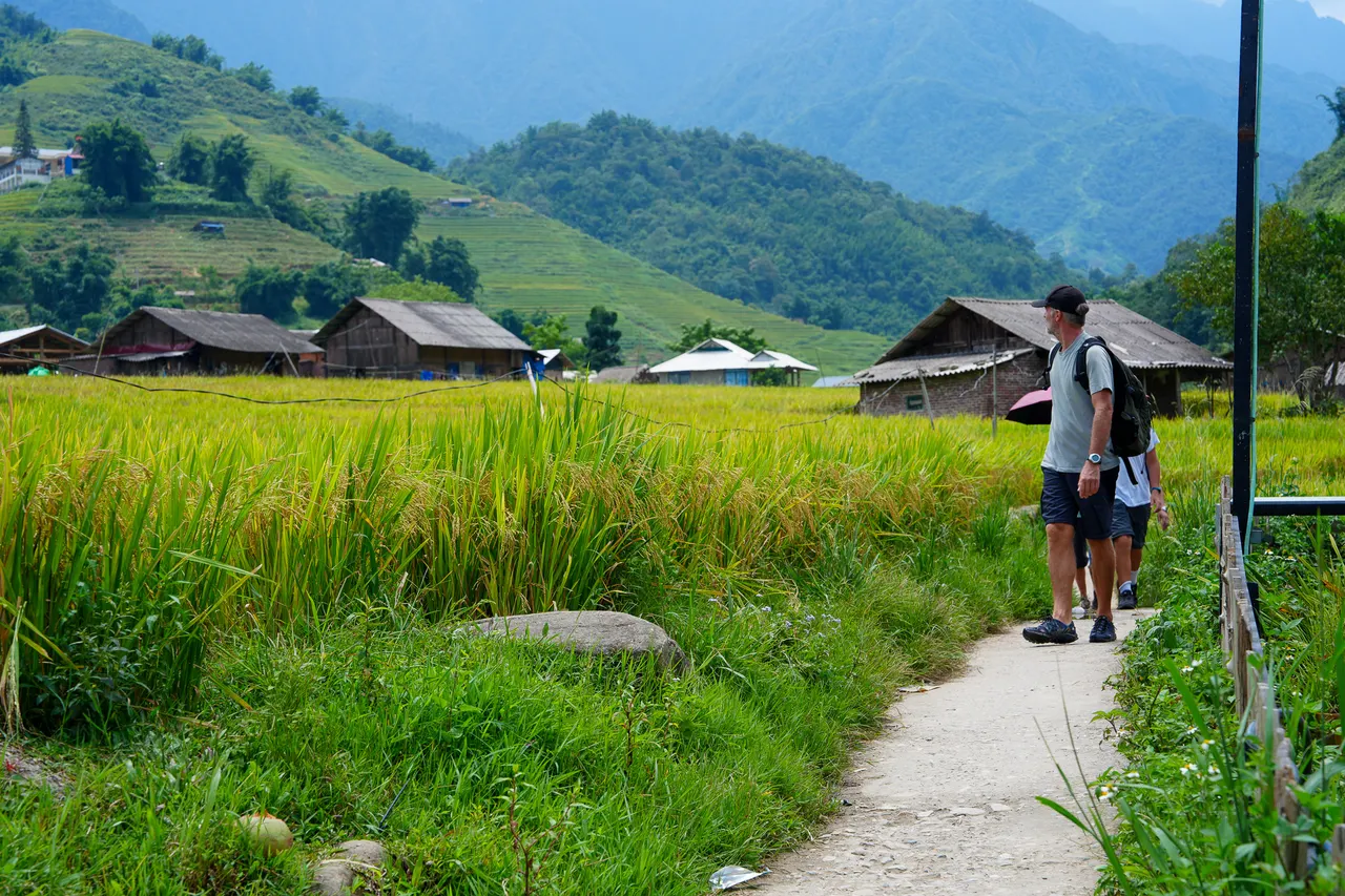 Aerial view of a Sa Pa hill-tribe village surrounded by terraced rice fields on a Homestay Trek