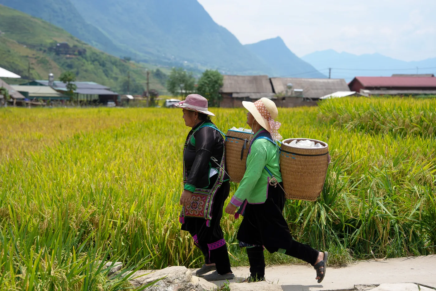 Two people in embroidered clothing carrying large woven baskets beside a rice field Two people in embroidered clothing carrying large woven baskets beside a rice field