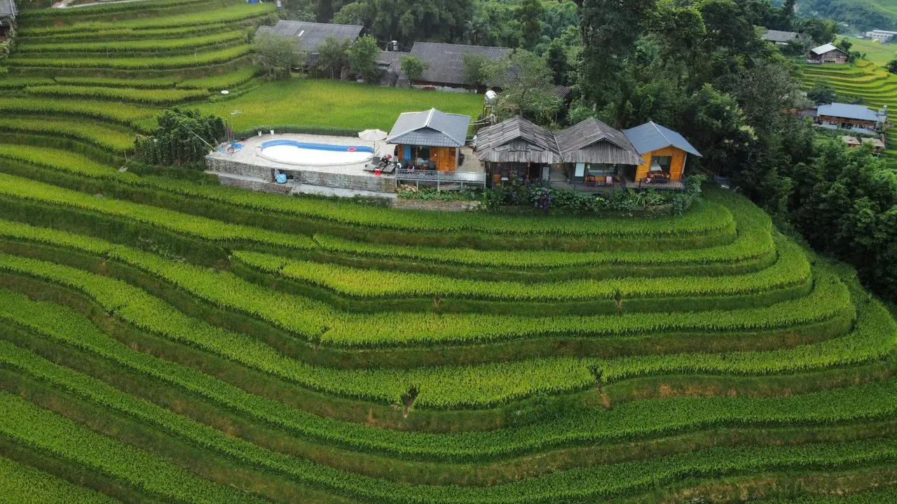 Wooden houses among curved green rice terraces on a mountainside.