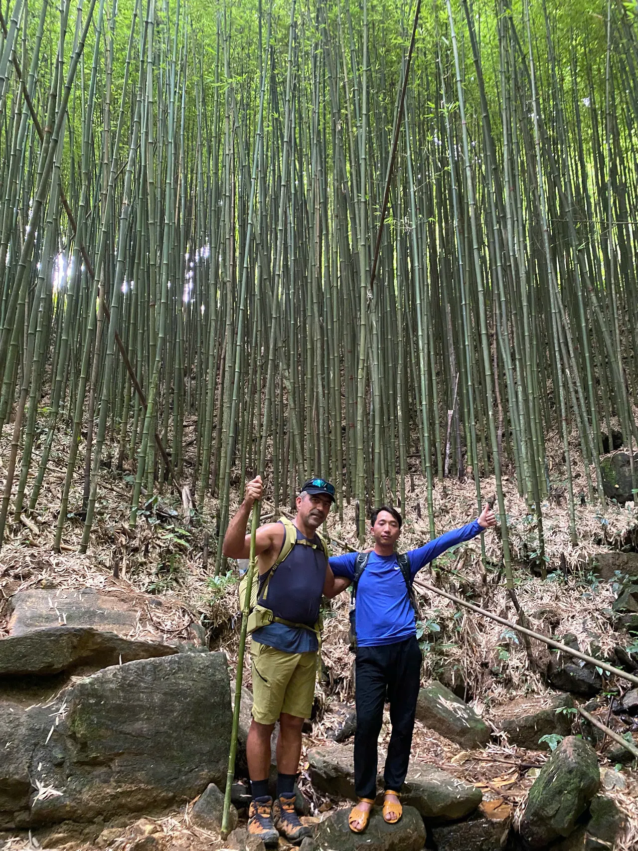 Two hikers with packs standing together in a bamboo grove.