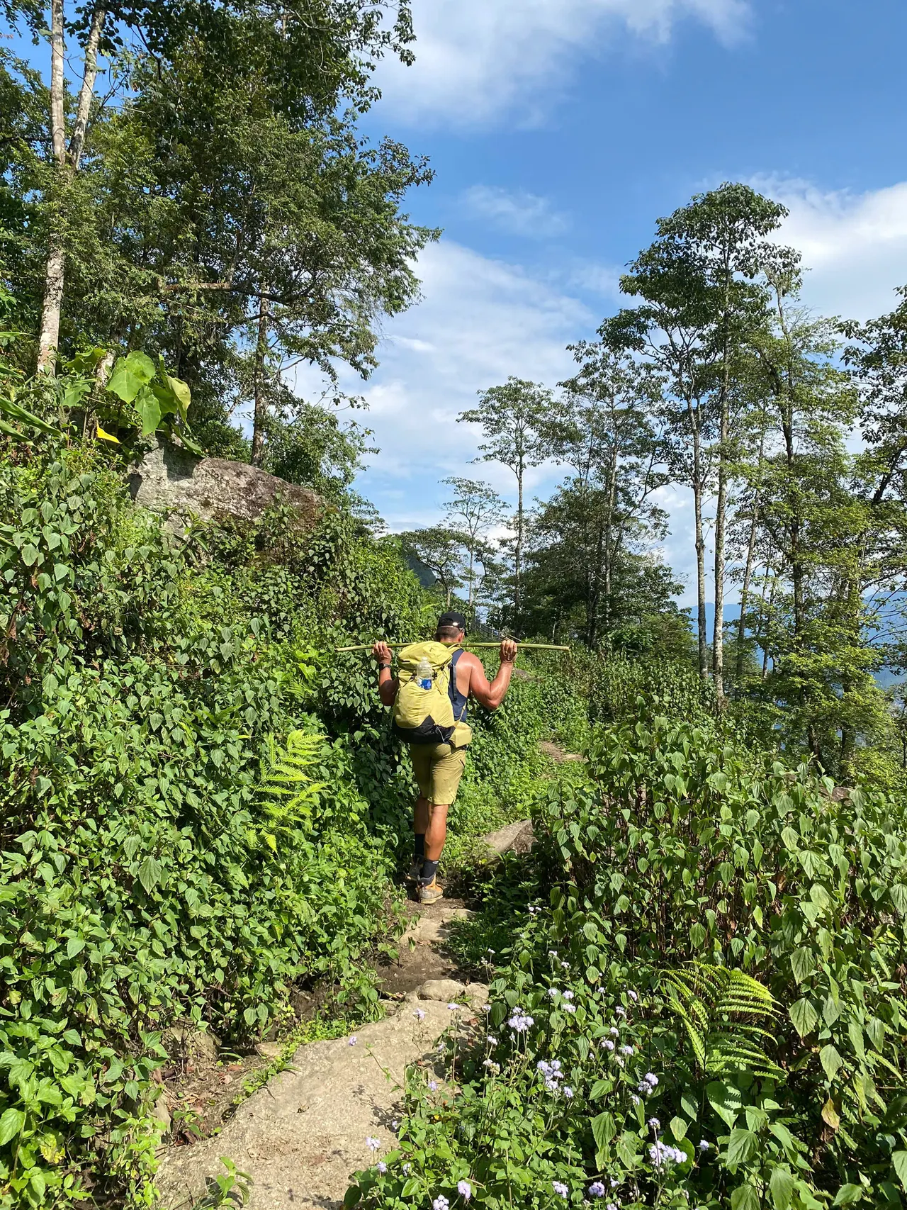 Hiker from behind on a narrow vegetated trail, carrying a pack and a bamboo staff.