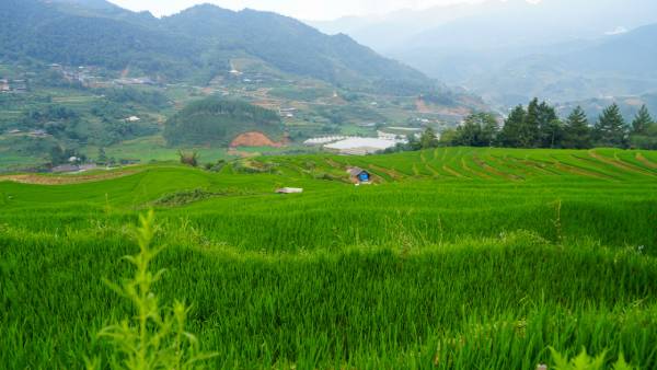 	Hanoi Food Experiences